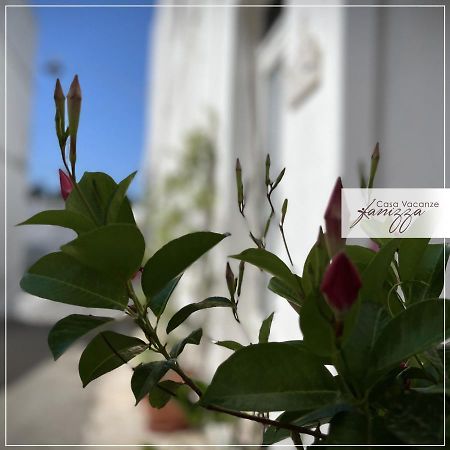 Rebecca E Sofia Stone House Affittacamere Alberobello Exterior photo